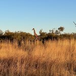 Photo taken by Tom B