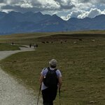 Photo taken by David N