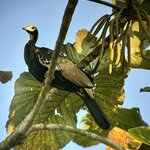 Photo taken by Cathy V