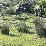 Photo taken by Joanne B