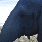 Photo taken by William R