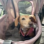 Photo taken by Krissy S