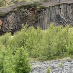 Photo taken by Dawn S