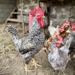 Photo taken by Mindy H