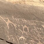 Photo taken by Andrew A