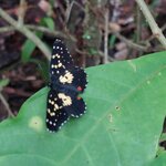 Photo taken by Sarah R