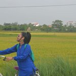 Rice filed near the hotel  | Photo taken by Seng Aung S