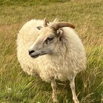 Photo taken by Sara W