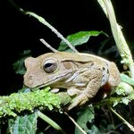 Photo taken by Jeffrey B