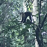 Photo taken by Michelle D