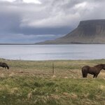 Photo taken by Sue M