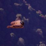 Photo taken by Peter M