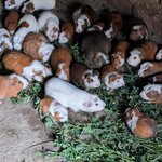 Photo taken by G'nee A