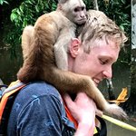 This little guy rubbed off all of Brian's DEET and applied it to himself | Photo taken by Sophie E