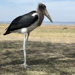 Photo taken by Gabrielle A