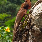 Photo taken by Brian C