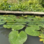 Photo taken by Leslie S