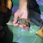 Photo taken by Stephanie S