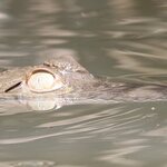 Photo taken by Joyce C