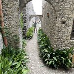 Photo taken by Cecilia M