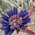 Photo taken by Carmen P