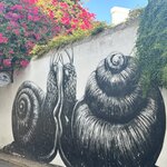 Photo taken by Jen S