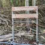 Iguanas at Isla Chora | Photo taken by Anita L