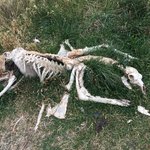 Watch out!! | Photo taken by Dave E