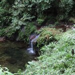 Photo taken by Pat K