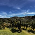 Photo taken by Pamela B