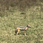 Photo taken by Virginia H