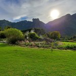 Kirstenbosch National Botanical Garden | Photo taken by lilia s