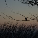 Photo taken by Wilbert A