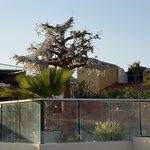 Photo taken by Kevin S