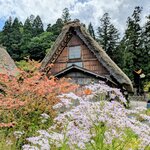 Photo taken by Joy W