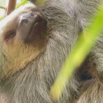 Photo taken by Lisa M