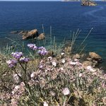 Photo taken by Shawn G