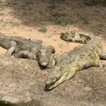 Photo taken by Michael L