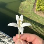 Photo taken by Fuad A