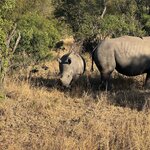 Photo taken by Chris K