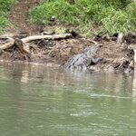 Photo taken by Morton A