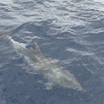 Photo taken by Isabela V