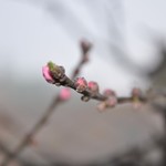 - | Photo taken by Karen W