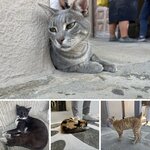 Photo taken by Dorothy A