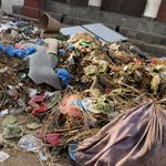 Photo taken by Wayne D