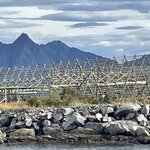 Photo taken by Sharon S