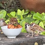 Photo taken by Fuad A