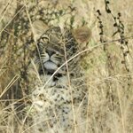 Photo taken by Linette B