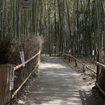 Photo taken by Ana W