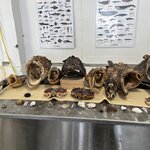 Photo taken by Sharon S